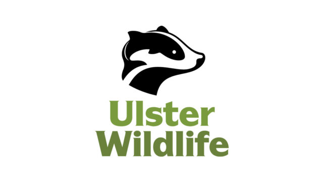 ulster wildlife